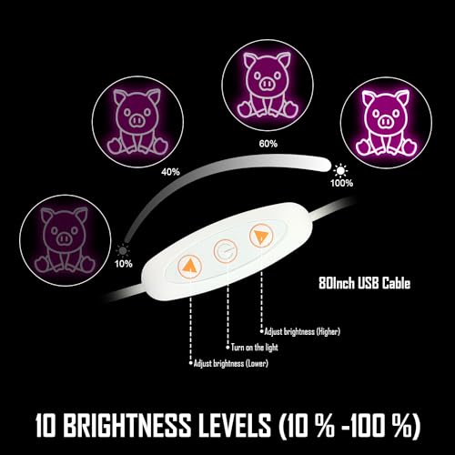 Image of Sitting Pig Neon Sign Cute Sitting Pig Led Neon Sign for Wall Decor Pig Neon Light Sign Pig Sitting Neon Sign Light Up Sign for Bedroom Game Kids Room Bar Shop Club Party Decor Gift, coloful