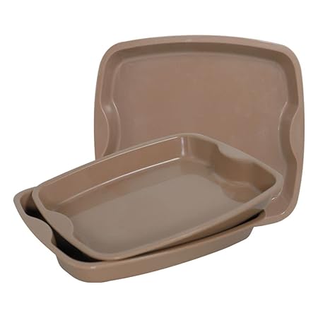 Good Day Small Serving Trays, Colorful Stackable Trays for Serving Tea Snacks Set of 3, Rectangular Camel Color