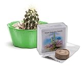 Grow Your Own Saguaro Cactus Incubator Kit (Carnegiea gigantea) – Cactus Seeds – Seed Starter Peat Pellets Pods - Southwestern Gift Idea - Seed Growing