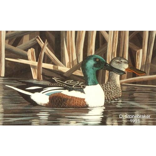 Taza de cerámica 11 oz CafePress Shoveler Ducks miniatura 3