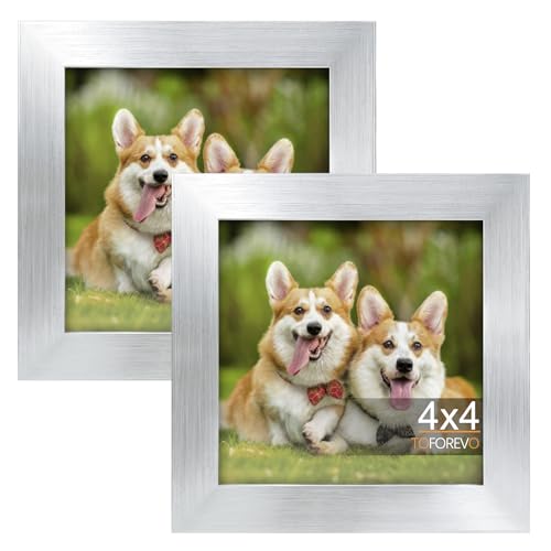 TOFOREVO 4x4 Picture Frames set of 2, Silver