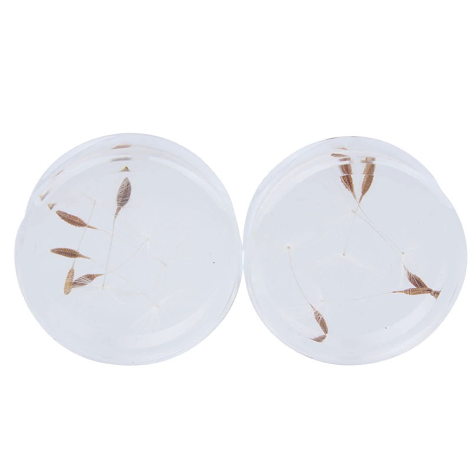 Beydodo Tunnel Piercing Set - Ohr Plugs 10-24mm Acryl Bicolor