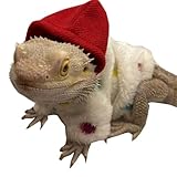 Mantel Bartagamen-Kleidung, weiche Hoodies, Pullover, Mantel, Bartagamen-Kostüm, Hautschutz, Fotoparty für Eidechsen-Gecko-Outfits