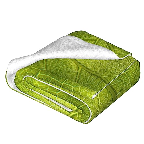 Couverture veines de feuilles vertes pour des soirées cocooning chaleureuses sur le canapé - 4