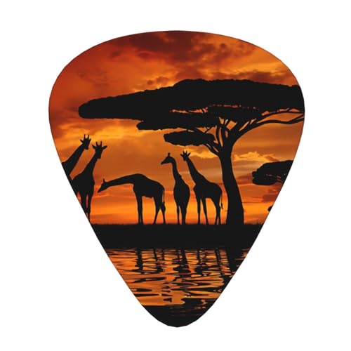 �E�N���� �v���N�g���� �M�^�[�v���[���[ �T���v���[ 12�s�[�X �A�R�[�X�e�B�b�N �x�[�X �G���L�M�^�[�p �A�t���J�L���� �}�W�F�X�e�B�b�N�c���[�v�����g