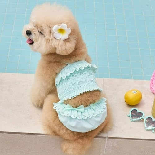 Disfraz de Cat y Perro Bikini & Gorra Verde M miniatura 4