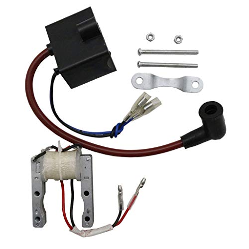D DOLITY Kit de bobina de ignição CDI de alto desempenho e bobina de estator magnética, adequado par