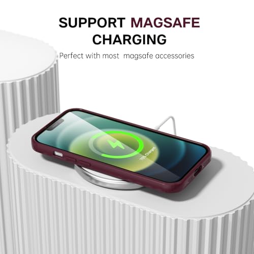 Coque silicone iPhone 12 compatible MagSafe Svanove transparente brillante - 7