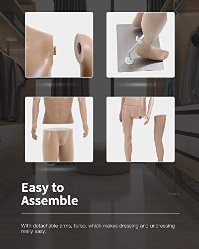 Full Body Mannequin Male Dress Form Adjustable Dress Model Sewing Manikin 73 Inch Mannequin Stand Realistic Mannequin Display Clothing Form Metal Base Showcase Mannequin