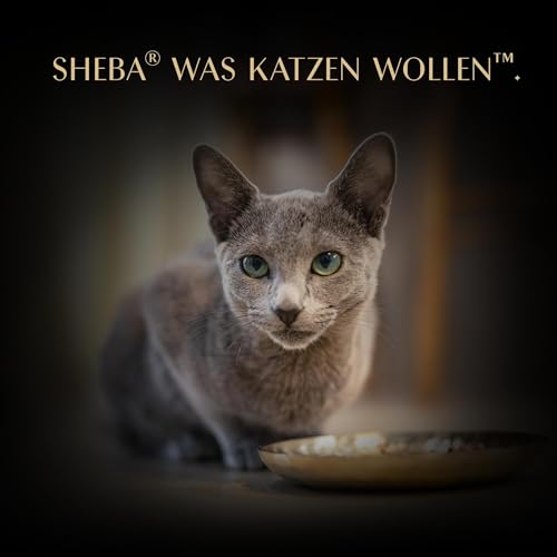 SHEBA Filets Adult Katzenfutter in Sauce mit Huhn 16 x 60g Schale