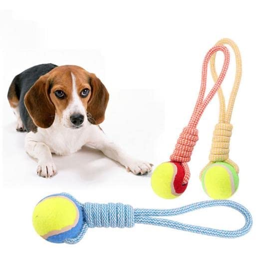 Dog Trust Cotton Chewable Tennis Tug Ball for Dog Teething, Playing, Tug Ball for Dogs Suitable for Small Breeds (Pack of 1) (B0BK4SCN2M) Amazon Price History, Amazon Price Tracker