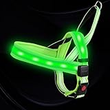 PetIsay LED Light Up Dog Harness - USB-C Rechargeable, IPX7 Waterproof, Reflective, No Pull Dog Vest with Soft Padded Handle for Night Walking(Green, L)