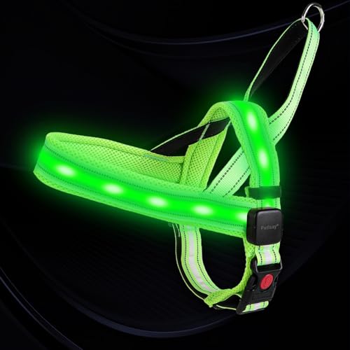 PetIsay LED Light Up Dog Harness - USB-C Rechargeable IPX7 Waterproof Reflective No Pull Dog Vest with Soft Padded Handle for Night Walking(Green Medium)
