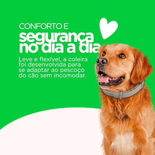 Coleira Antipulgas e Carrapatos – Proteção Antiparasitária com Conforto e Segurança Para Seu Cão | M