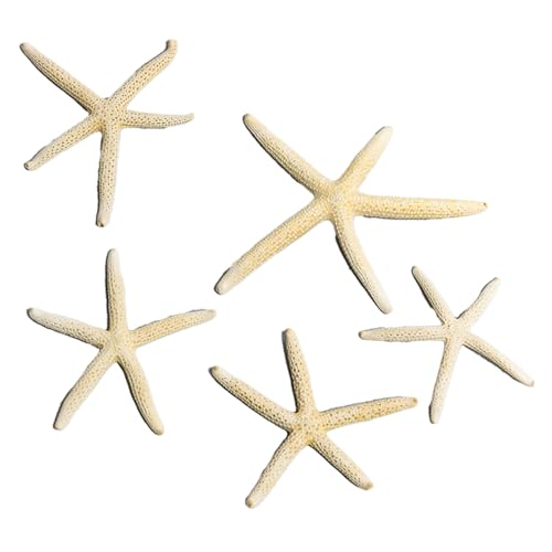 Decoração De Estrela Do Mar Para Tanque De Peixes MOUMOUTEN, Ornamento De Aquário Vívido, Modelo De