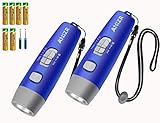 ANIZR Coach/Referee Whistle