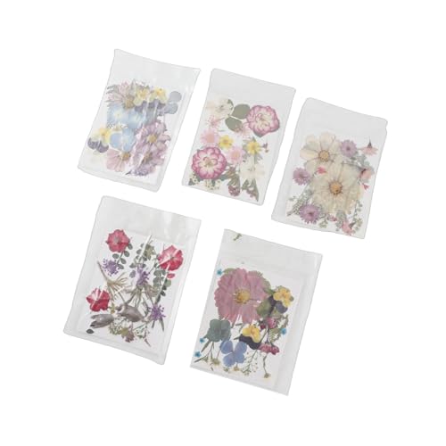 Flores prensadas surtidas para manualidades DIY, 100 piezas miniatura 5