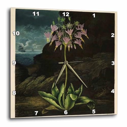3dRose DPP_98644_2 Vintage of 1807 Painting from Unusual Botany Book with Ship in Background-Wall Clock, 13 by 13-Inch