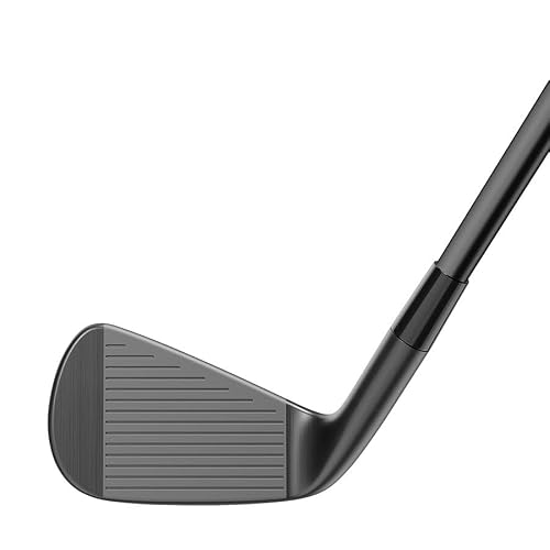 TaylorMade Golf P·790 Battle Worn Irons in Use