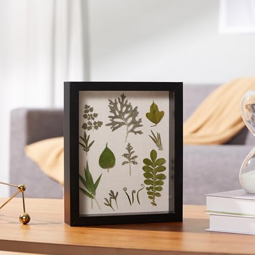Image of Amazon Basics 8 inch x 10 inch Rectangular Shadow Box Wood Frame for Photos, Art, and Memorabilia, Black, Tabletop Display