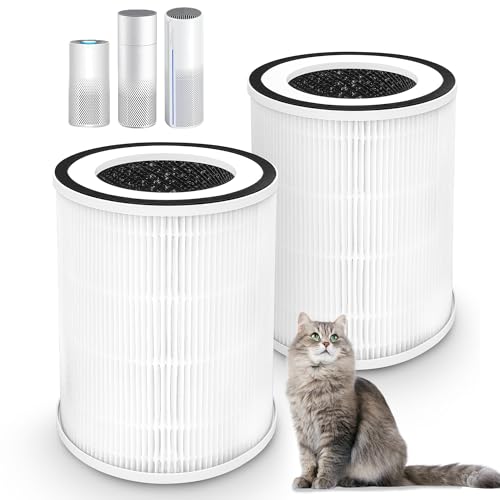 Image of 2 Pack True HEPA Kilo Filter Replacement for Afloia Kilo, KILOPLUS, KILOPRO, MIRO, MIRO PRO and MORENTO MR-Kilo, Kalo, H13 True HEPA Filter, 360 3-Stage Filtration, Green