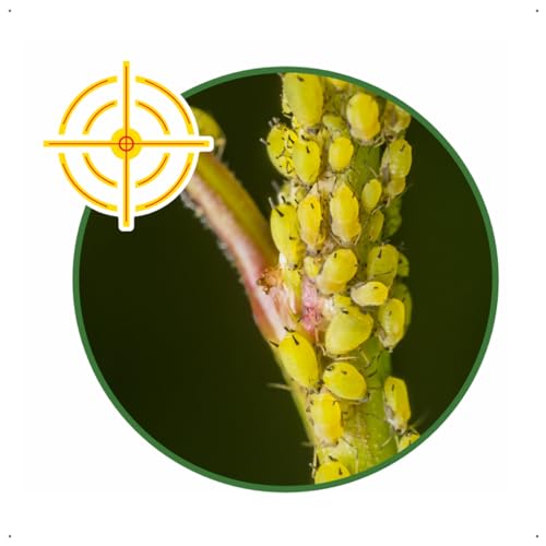 Forth Mata Pulgão Pronto Uso 500ml