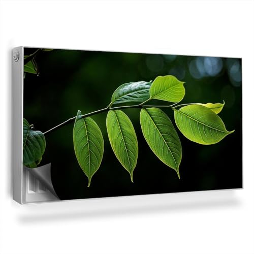 Protège et Décore le Radiateur avec cette Couverture Magnétique - 2