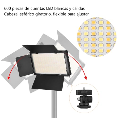 Plafones, Camera Imagen adicional