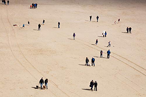 Martin Parr: Beach Therapy
