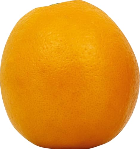 Navel Orange