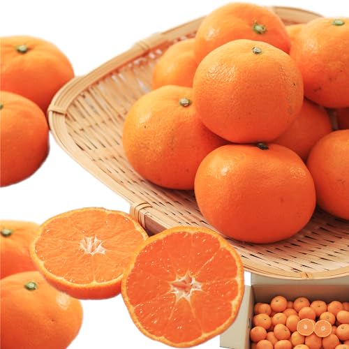 �R�������� ���ƒ�p �݂��� �󂠂� 5kg ���Q���Y (�퉷/�s����/��L��/�Y�n����) ���� �~�J�� �t���[�c �ʕ�