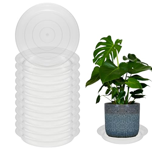 TNTIWQ 12 Pcs 6 Inch Round Plant Saucers for Less 5 Inch Pot Indoors Outdoors Plant Trays for Pots Planter Saucer Plastic Drip Tray Planter Water Tray(Clear, 6"(12pcs))