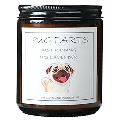 PUG FARTS