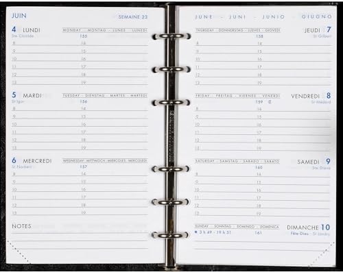 AGENDA MODERNE - 1 RECHARGE D'agenda SEMAINIER De Janv. à Déc.2020 - INT AB SEM Format 15 X 20