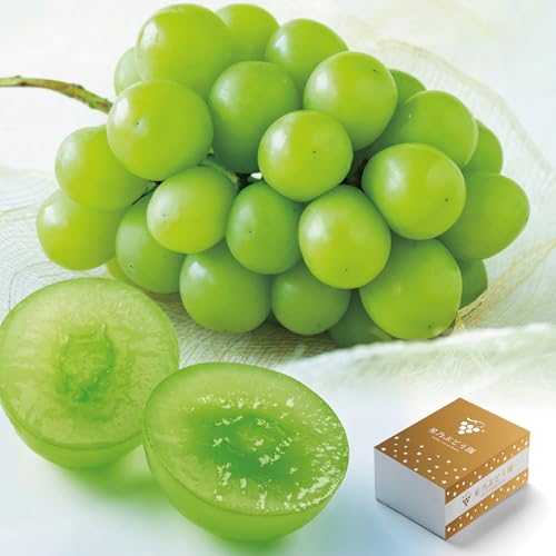 先行受付(三つ星ブランド)星乃シャインマスカット (岡山県産)2房(1.3kg以上)