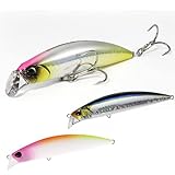 デュオ シーバスルアー ビーチウォーカー アクシオン95S マットグラデスノーGB