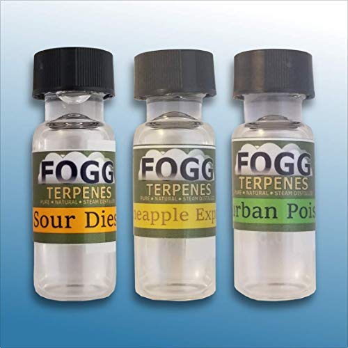 FOGG Terpenes -Citrus Collection (1ml)