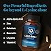Cold Sore Shield | Daily Cold Sore Supplement Including L-Lysine & Natural Defense Ingredients | Around The Clock Support | 60 Count | Made in The USA