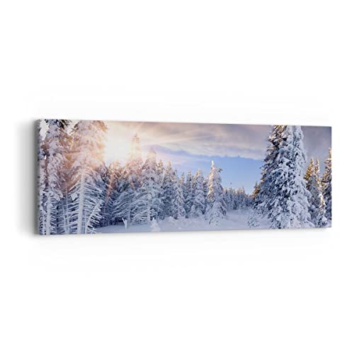 Image de neige des Alpes pour créer une ambiance cocooning dans votre salon moderne