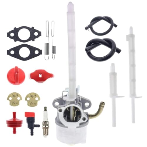 Kit de joints de carburateur 794587 de haute précision pour moteur 790558 791953