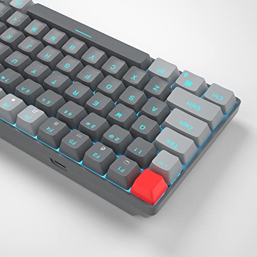 Magegee 75% Mechanical Keyboard, Wired Gaming Keyboard With Blue Switches And Ice Blue Backlit Small Compact 75 Percent Keyboard Mechanical, Portable Gaming Keyboard Gamer For Pc, Mac(Grey Black) #TOP4