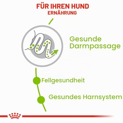ROYAL CANIN X-SMALL Adult Trockennahrung für Hunde – 3 kg