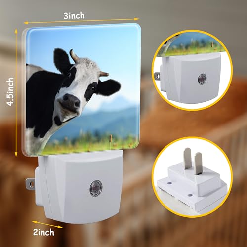 Image of Plug Night Light,Funny Cow on Grass Night Light Lamp Auto Sensor Energy Efficient Dusk to Dawn Lights for Girls Boys Women Room Decor,Hallway,Kitchen,Bathroom,Nursery,Stairs