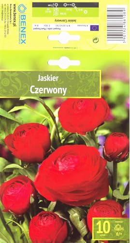 AGRONOM | RANUNCOLI - RED | Bulbi da fiore perenni | Fiori rossi | Coltivati in giardini fioriti, vasi e prati fioriti | 10 bulbi