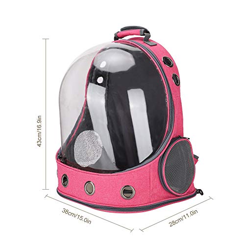 Mochila para animais de estimação, bolsa transparente para gatos, suprimentos para transporte de ani