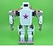 Imagen de SAANICH Robot humanoide de 12 DOF con Controlador de Voz