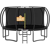 JUMPZYLLA Trampoline Outdoor 8FT 10FT 12FT 14FT 15FT 16FT with Enclosure and Ladder, ASTM Approved Recreational Trampoline for Kids and Adults, Anti-Rust Coated Frame (Black, 15FT)