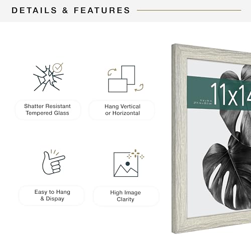 MCS Studio Gallery 11x14 Picture Frame Gray Woodgrain, Rectangle Photo Frame for Photos, Posters & Art Prints (2-Pack)