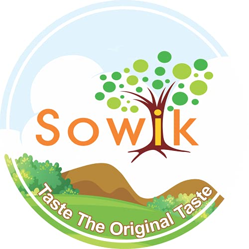 Image of Sowik Raw Sunflower Seeds 200g (Pack of 2) | Unsalted Unroasted Whole Seeds | Plant Based Fiber Rich Food | Healthy Snack, Weight Management | Vegan Friendly Ingredient for Cooking & Snacking