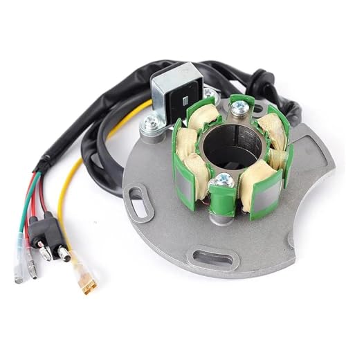 Bobine d'allumage de stator MC250034005 haute résistance Gas Gas